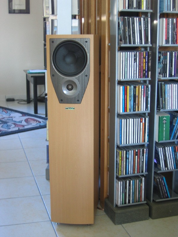 Ganymuzik